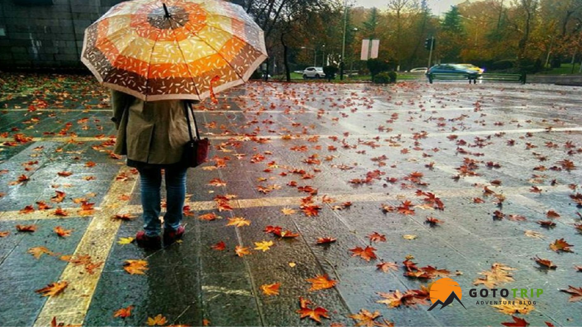 فرصت برای عکس های خلاقانه