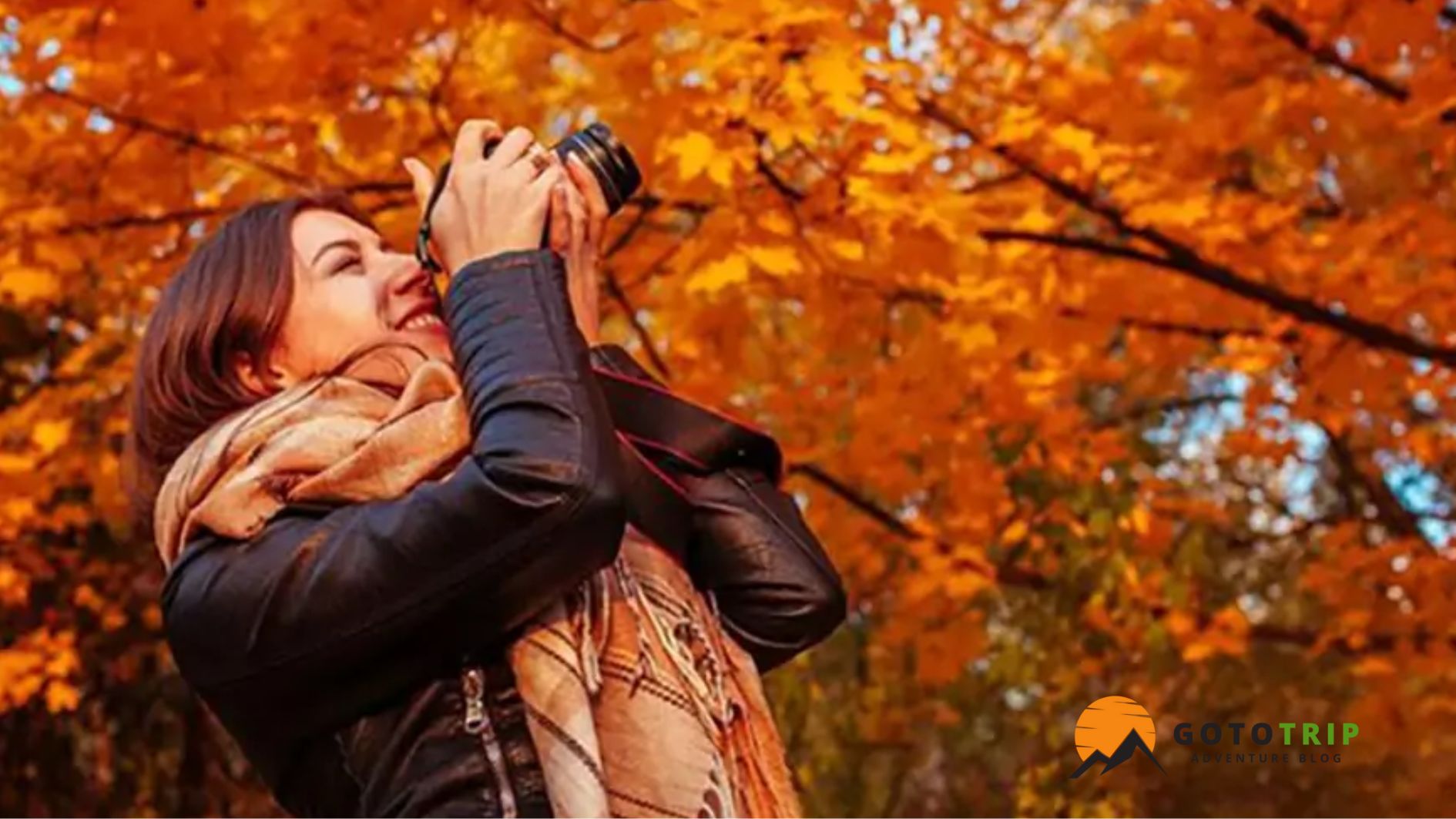 مزایا و کاربردهای عکاسی پاییزی