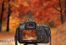 ایده عکاسی در طبیعت پاییز