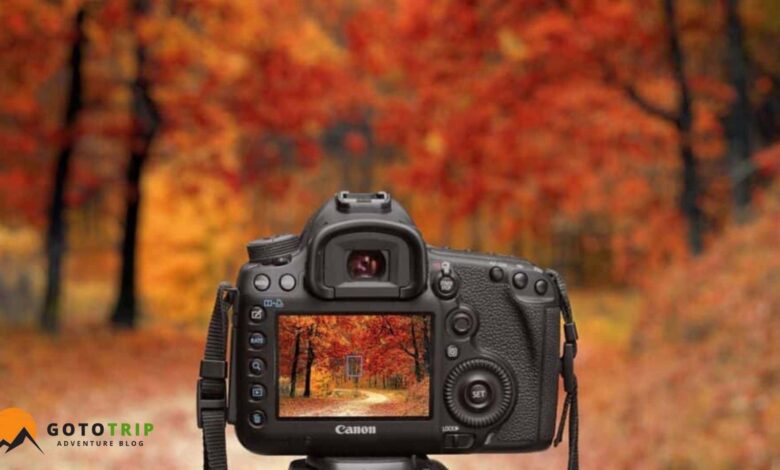 ایده عکاسی در طبیعت پاییز