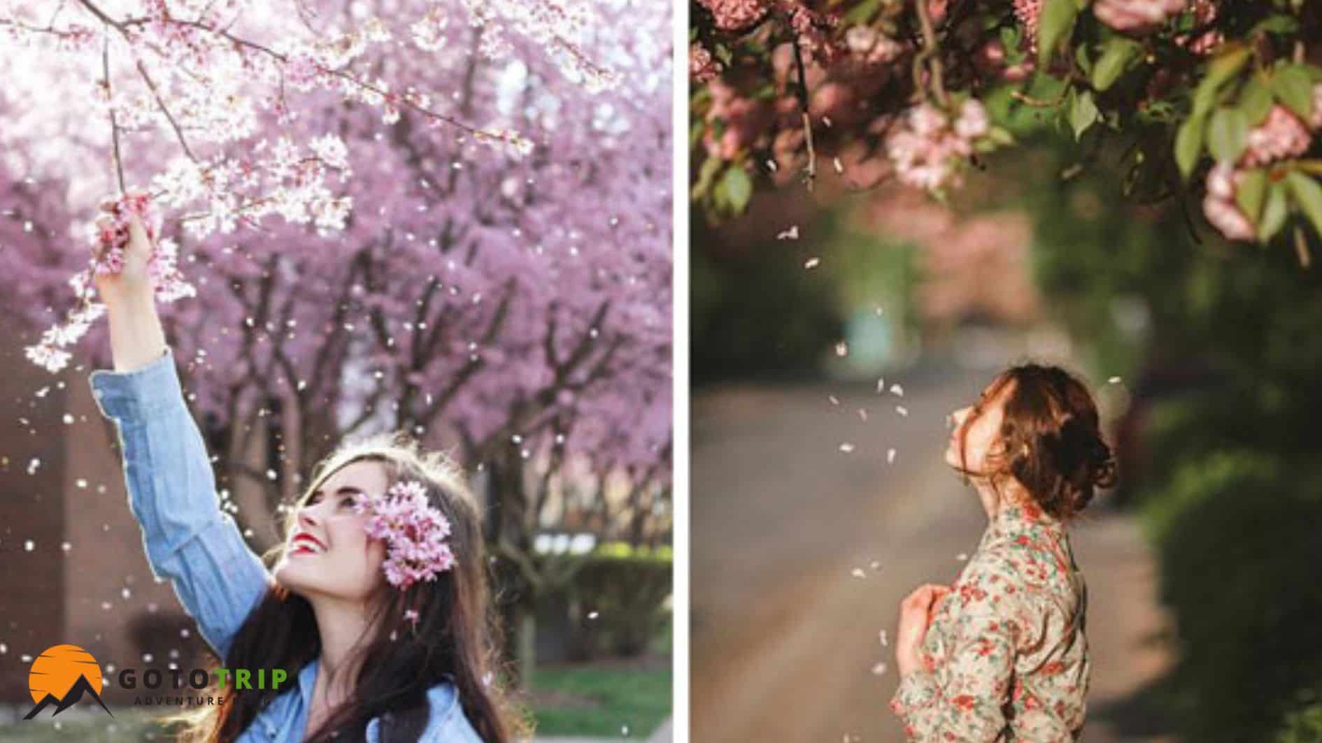 ژست عکاسی در بهار