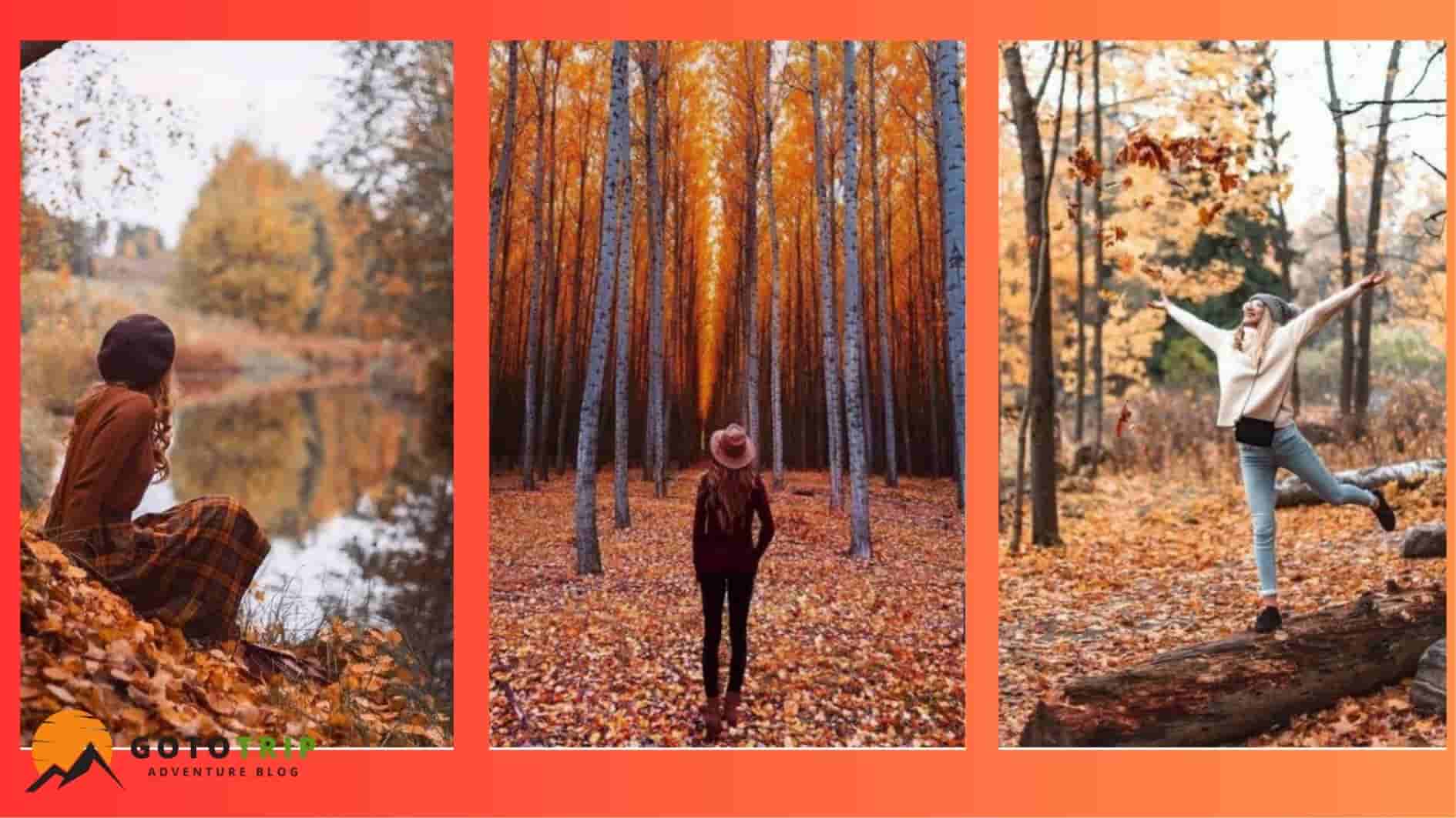 چرا ایده عکاسی در طبیعت پاییز این‌قدر خاص است؟