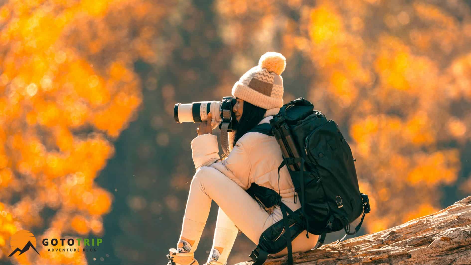 انتخاب رنگ و هماهنگی بصری در عکاسی در طبیعت