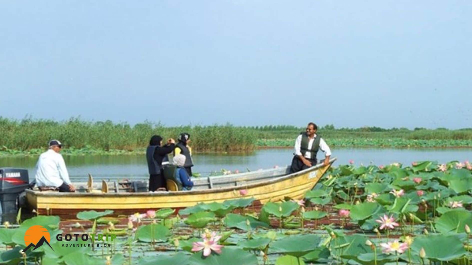 قایق سواری در تالاب انزلی