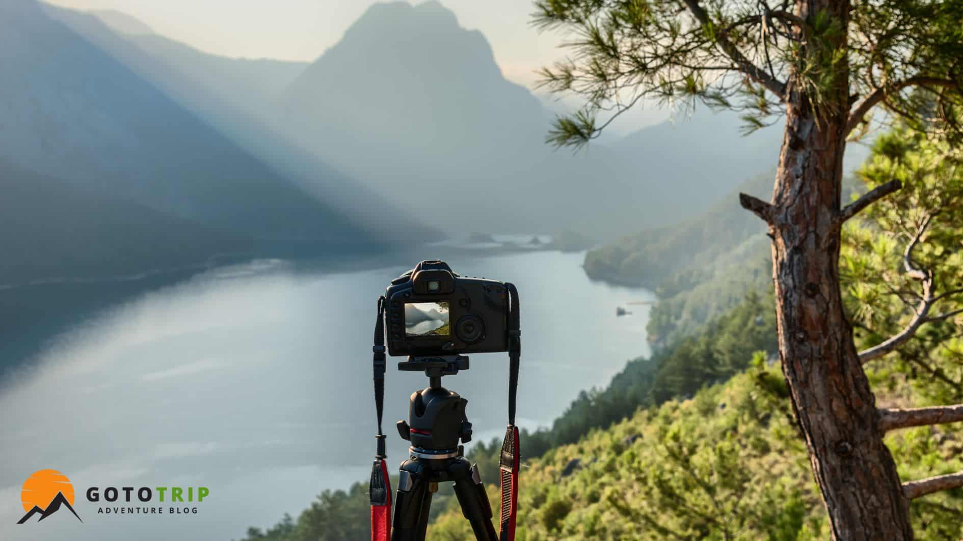 مزایا و کاربردهای عکاسی در طبیعت