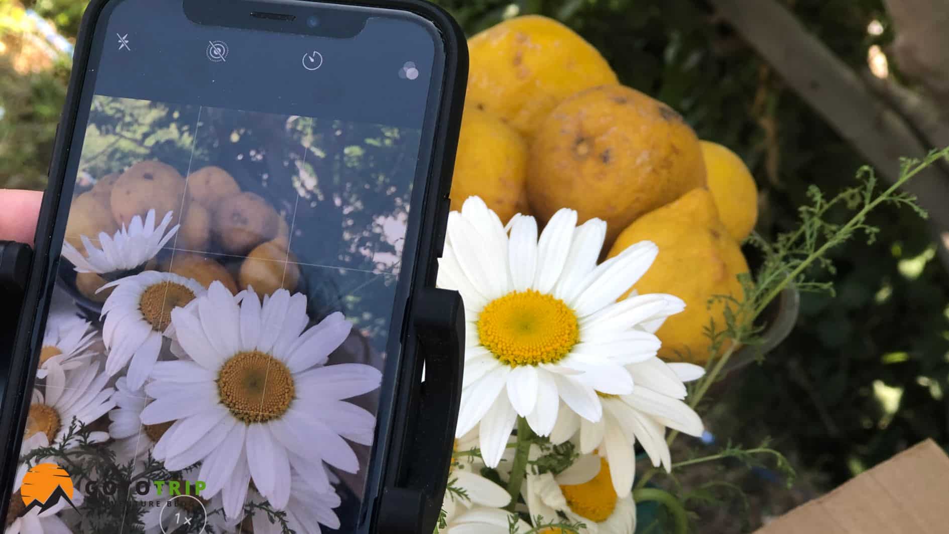 عکاسی پرتره در طبیعت