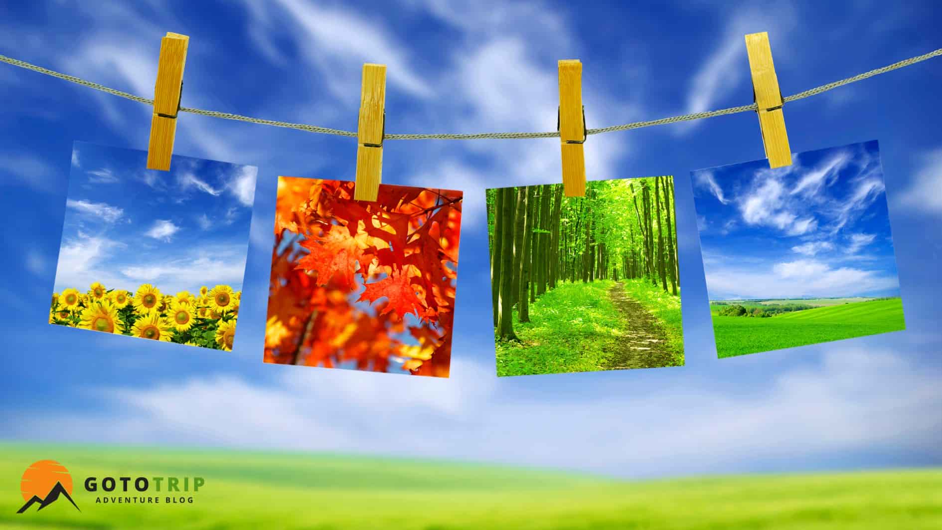 ترکیب بندی درست