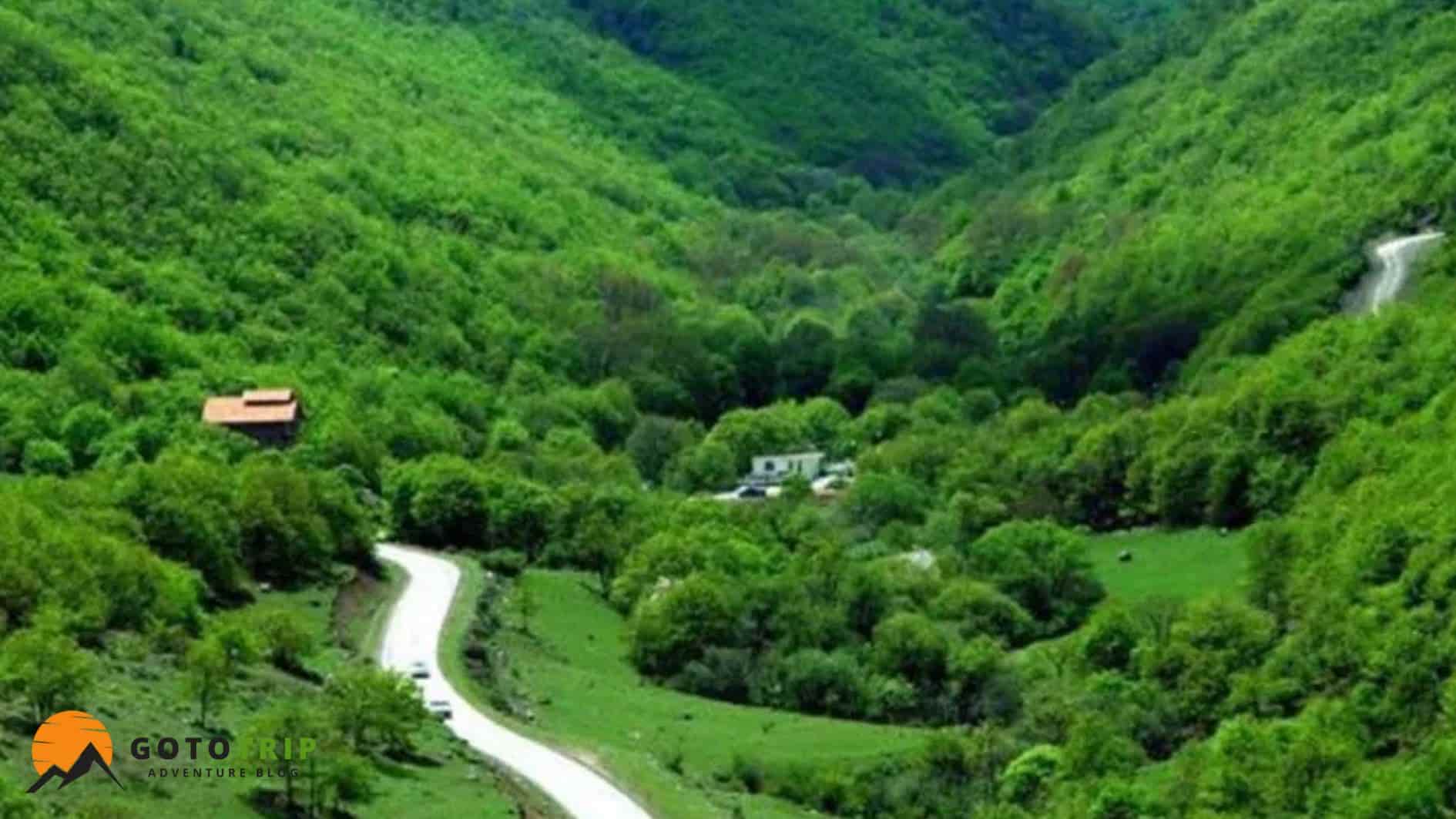 مسیرهای دسترسی به جنگل‌های ایران