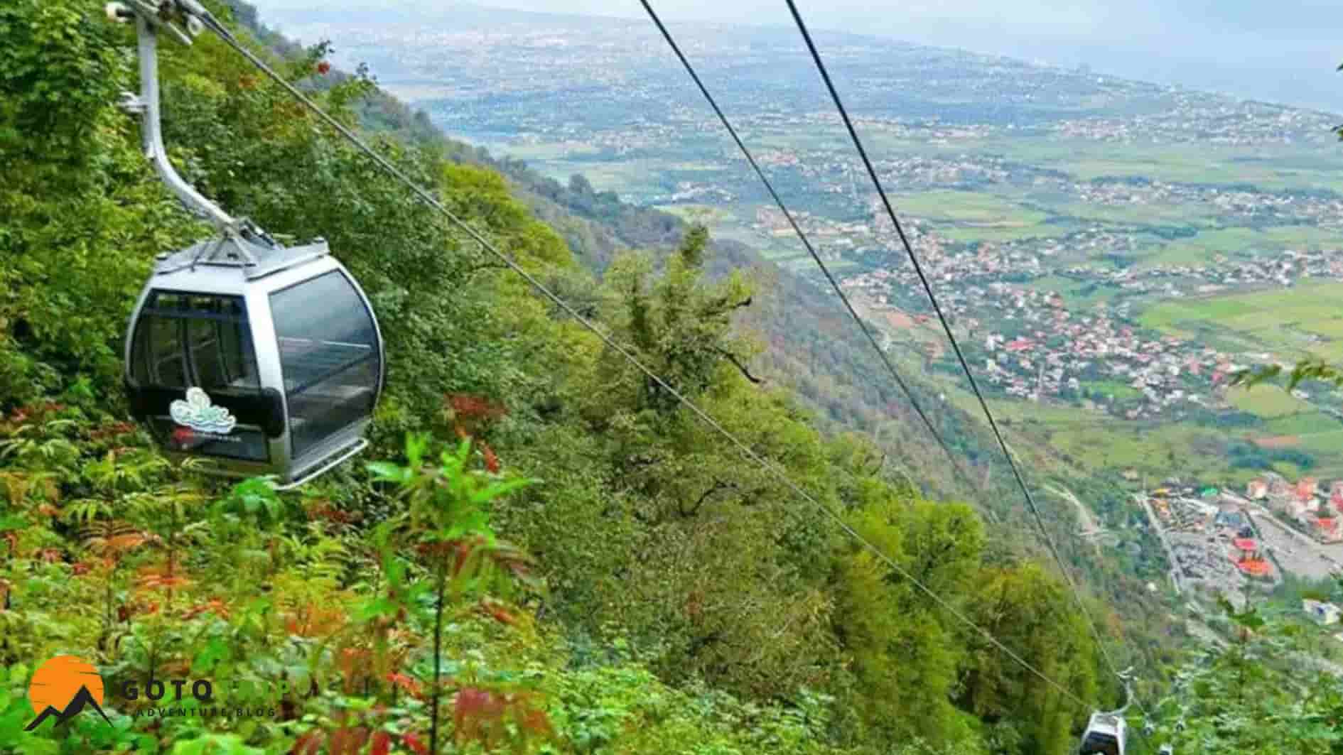 تفریحات و فعالیت‌های جنگلی