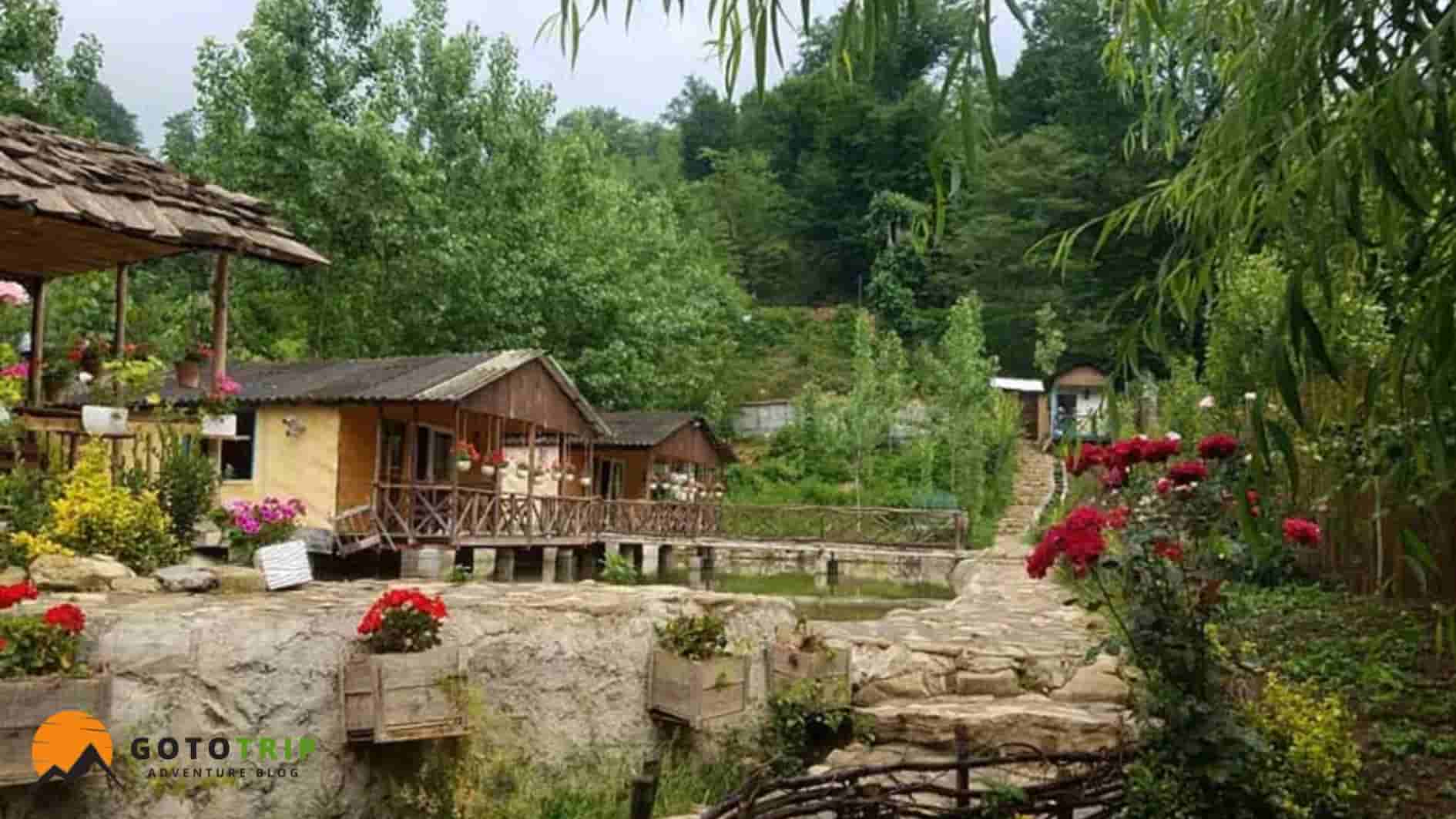 اقامتگاه‌ها، غذاها و فرهنگ بومی