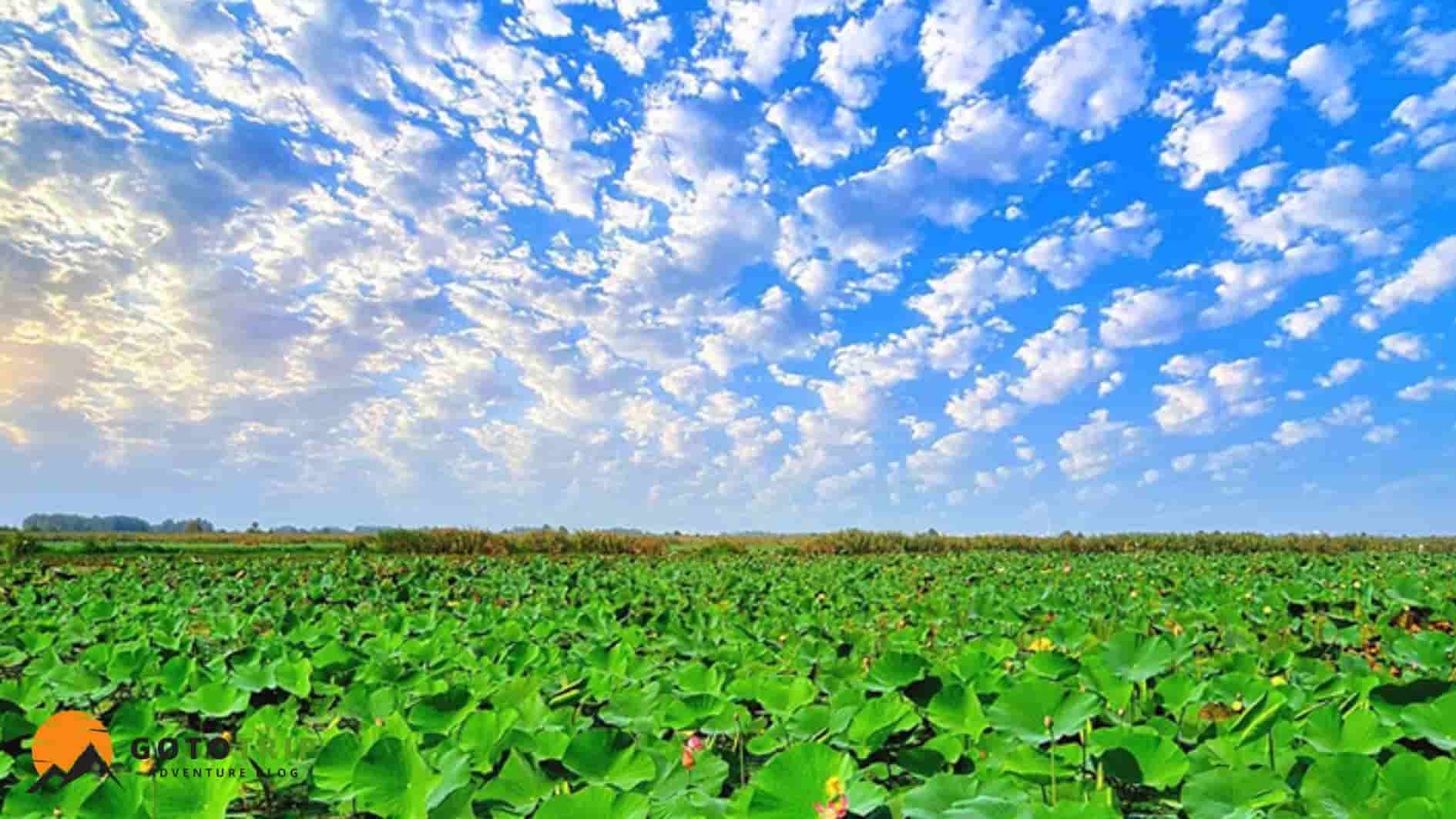 معرفی کلی تالاب‌های ایران