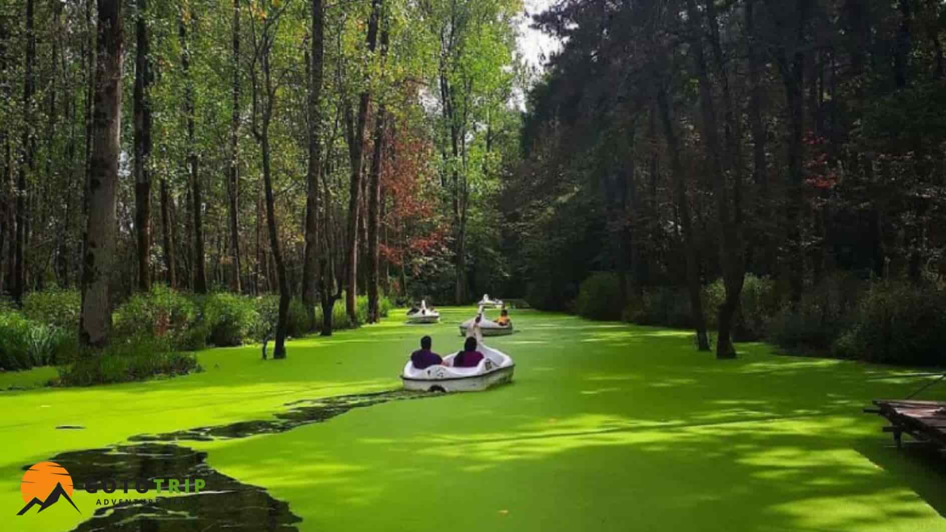 طبیعت و جاذبه‌های اطراف تالاب