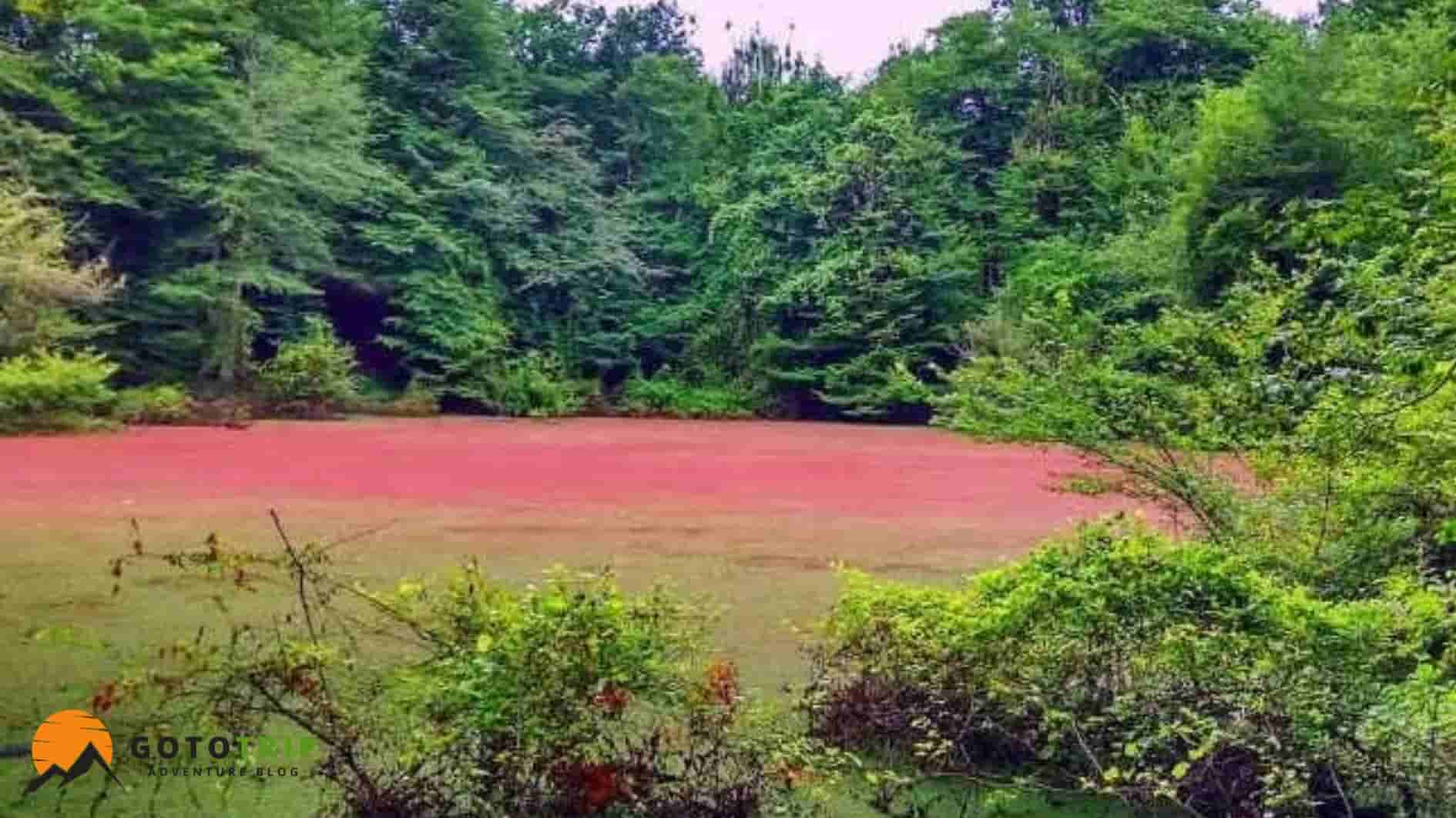 بهترین زمان سفر به تالاب