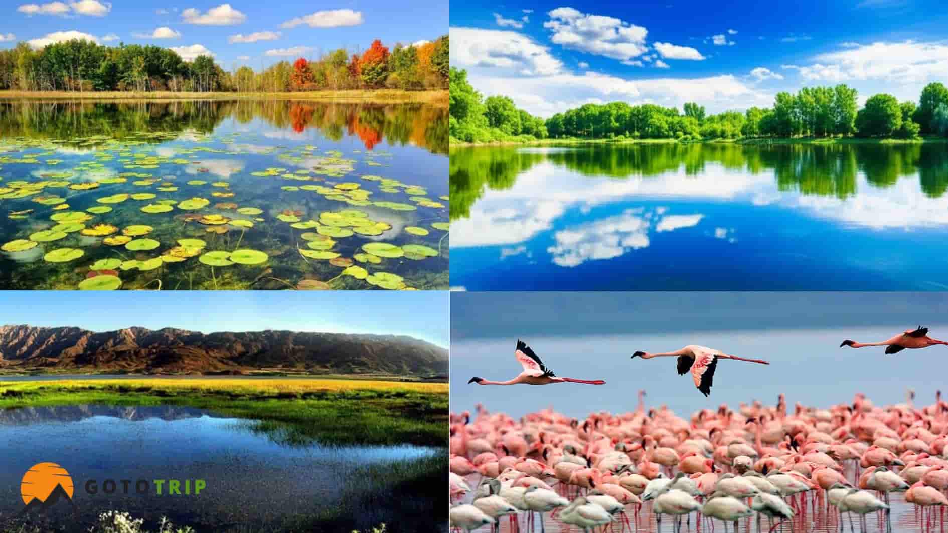 معرفی کلی تالاب‌های ایران