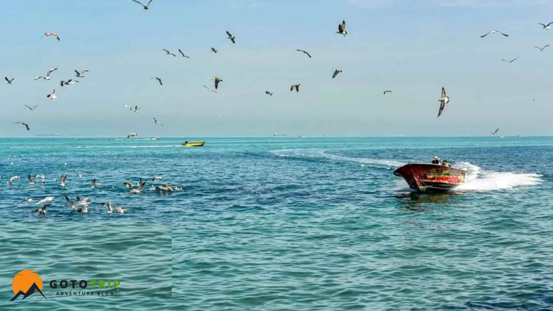  ویژگی‌های دریاهای ایران