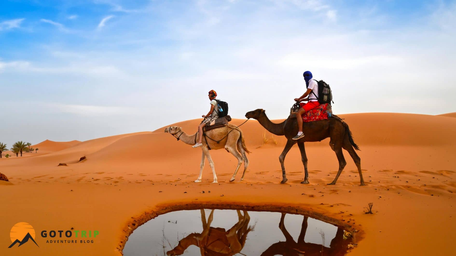 تفریحات و فعالیت‌های کویری