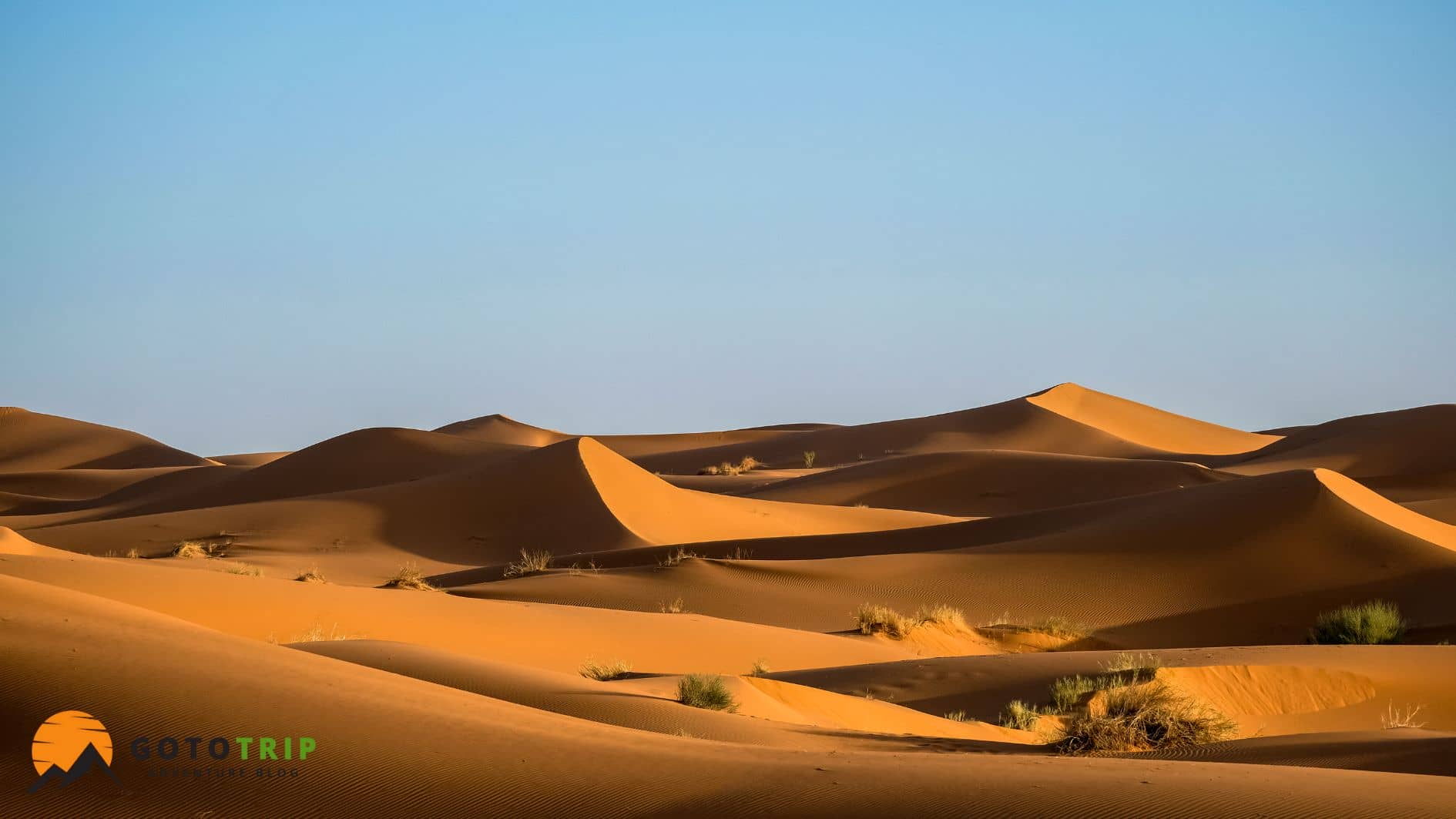 بهترین زمان سفر به کویر