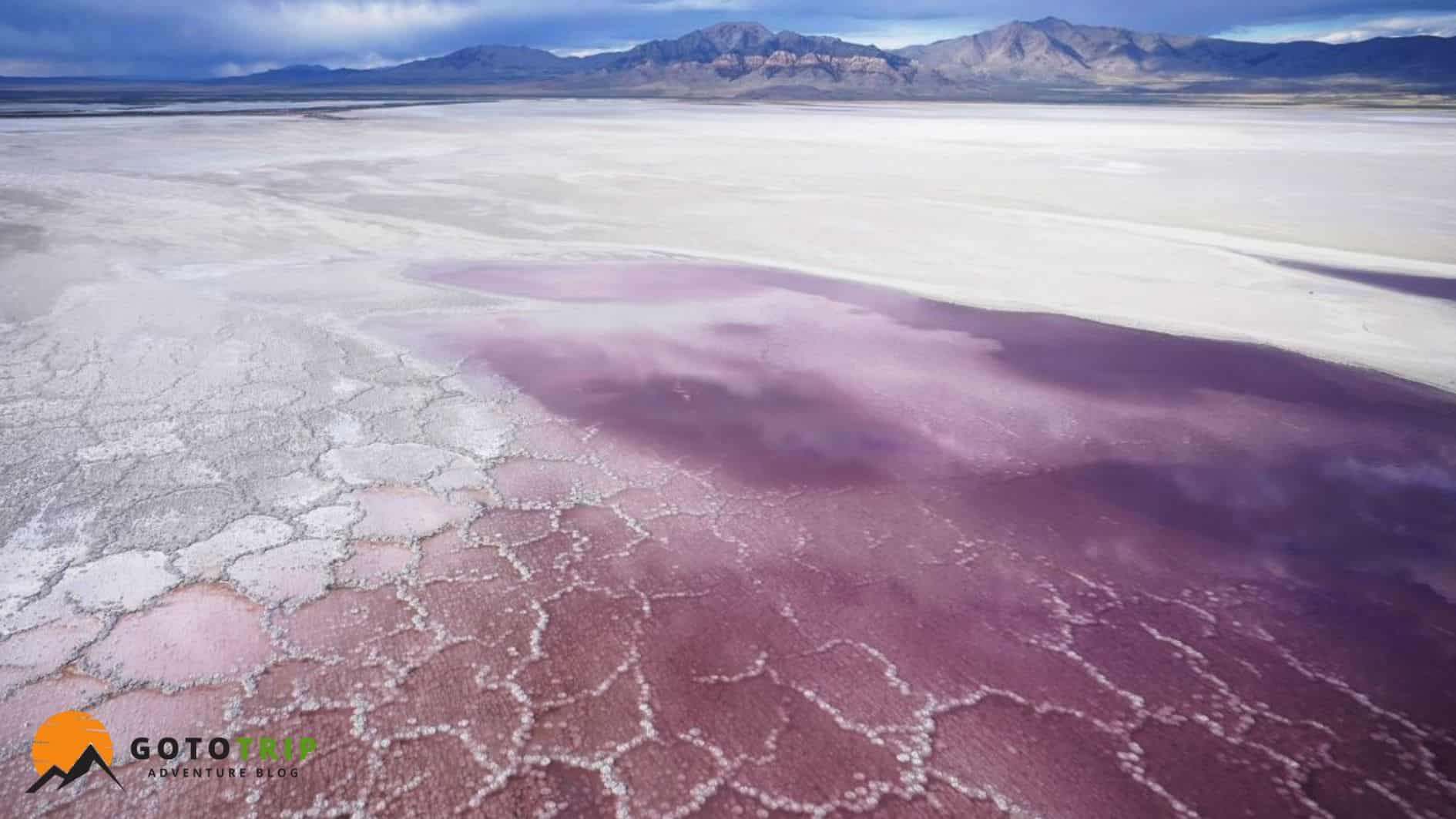 دریاچه‌های نمک