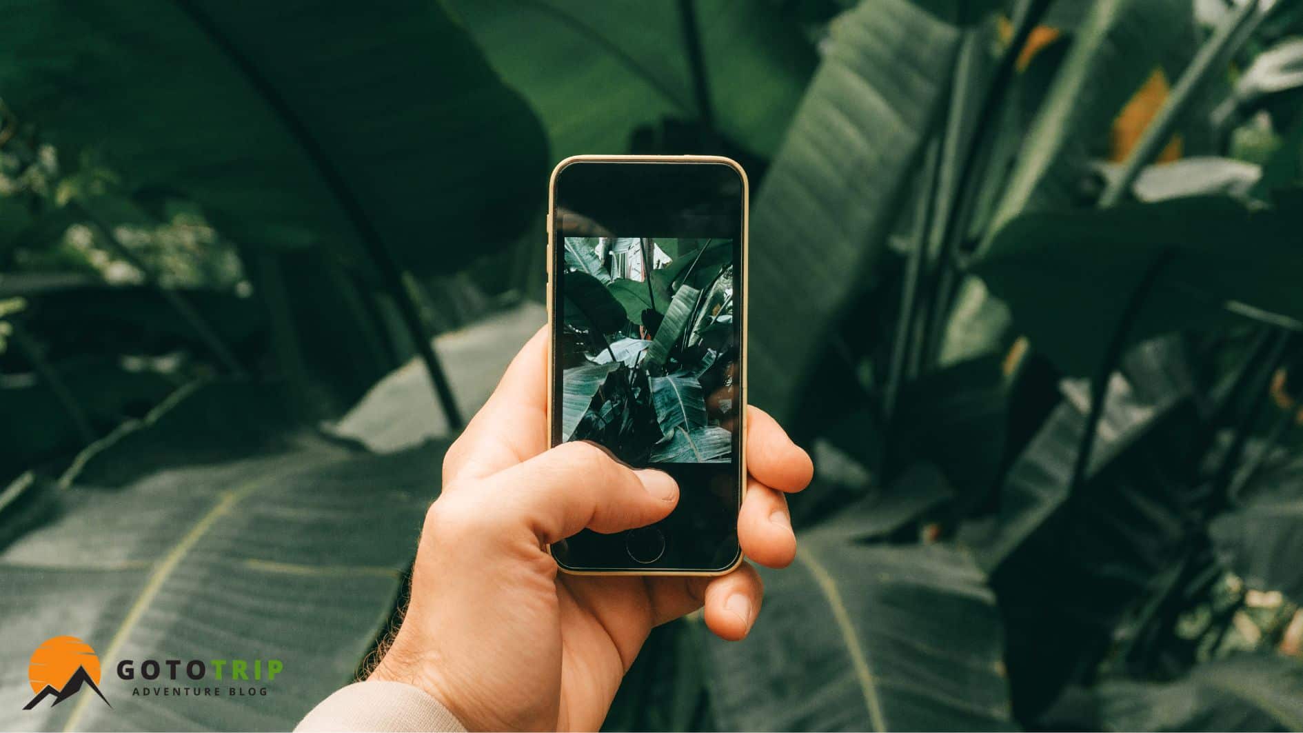 تکنیک‌های حرفه‌ای عکاسی در طبیعت با دوربین و گوشی