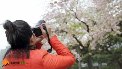 عکاسی در طبیعت