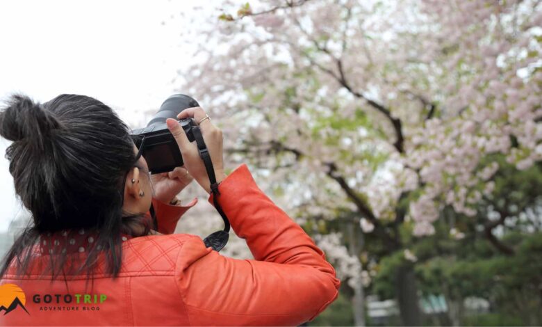 عکاسی در طبیعت