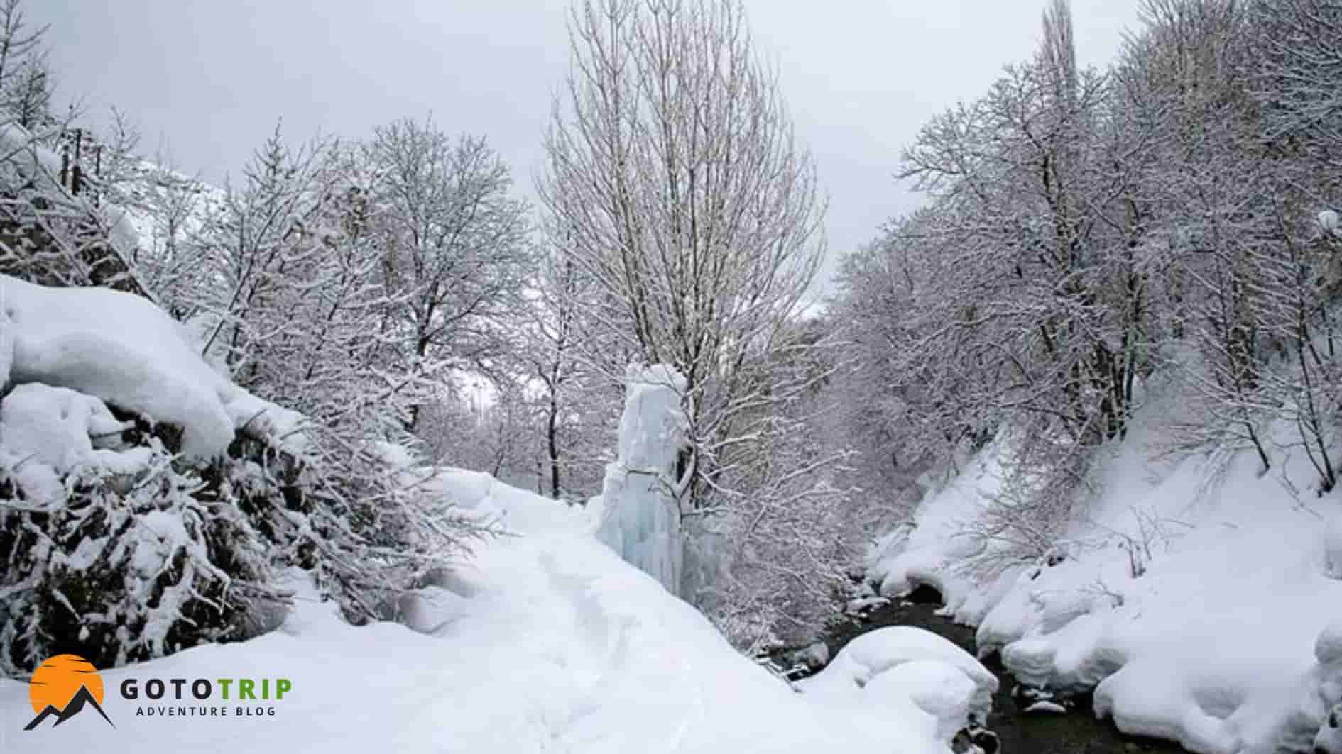 فشم و میگوم