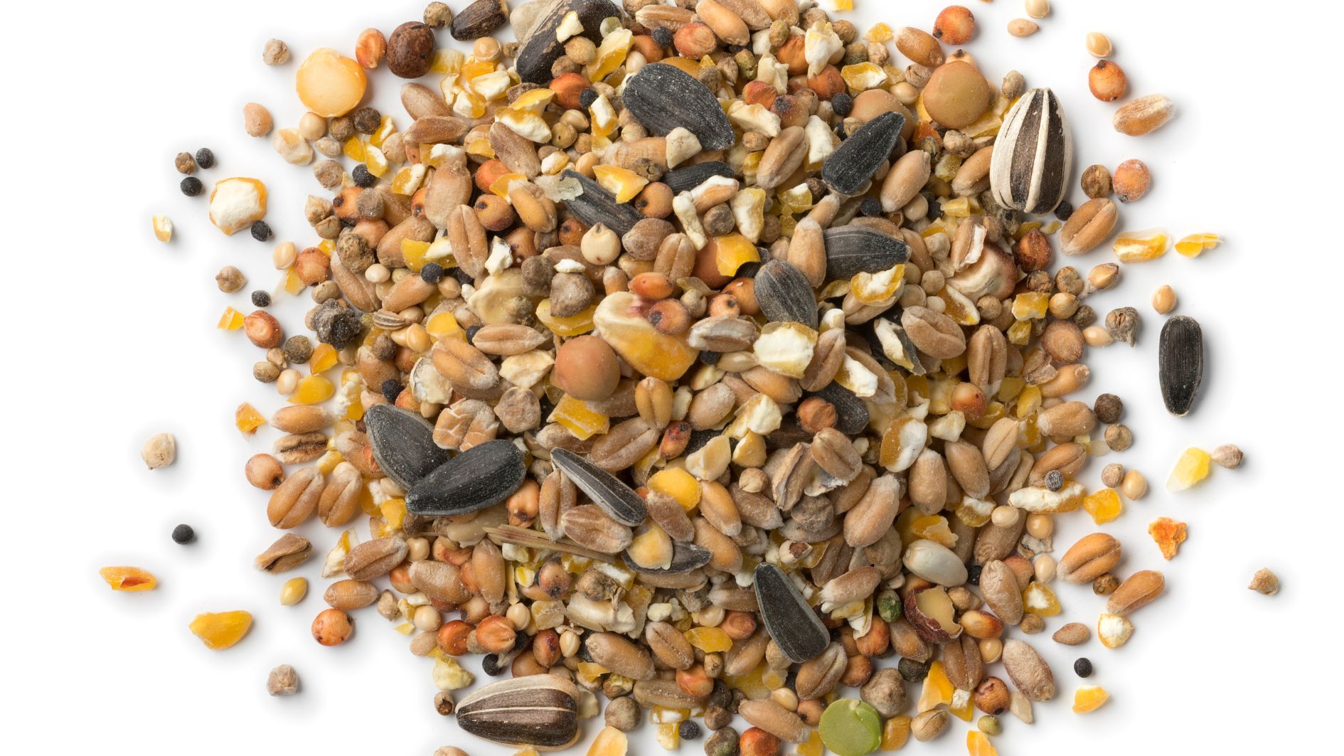 غذاهای بدون نیاز به پخت