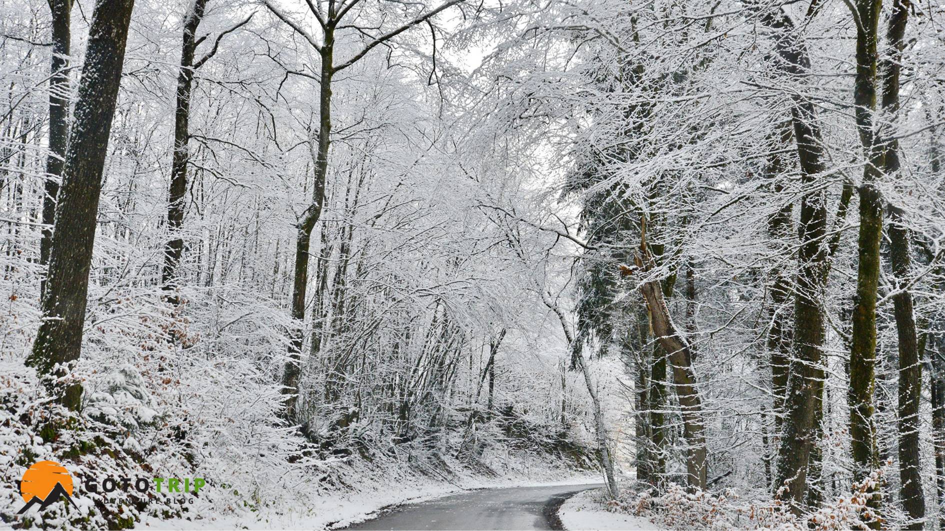 بهترین بازه زمانی برای سفر به شمال در زمستان