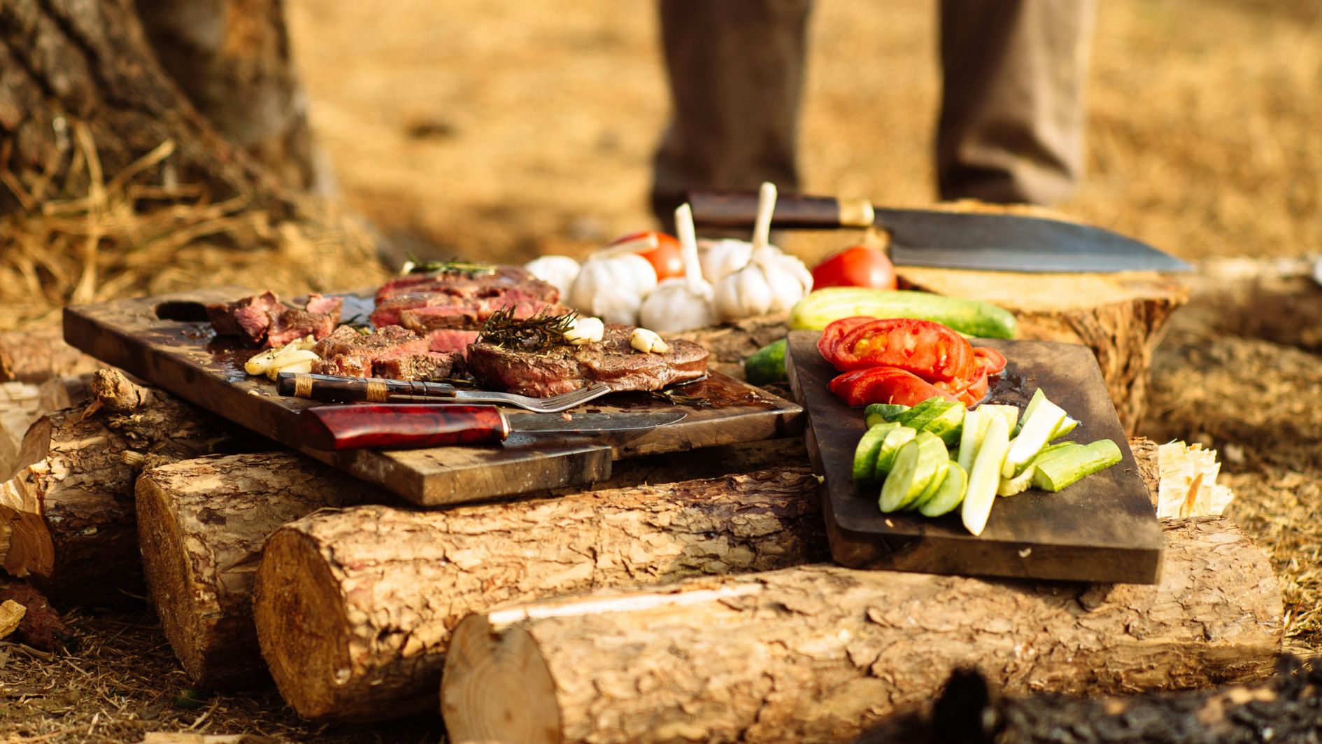 اهمیت غذا در سفر و طبیعت‌گردی