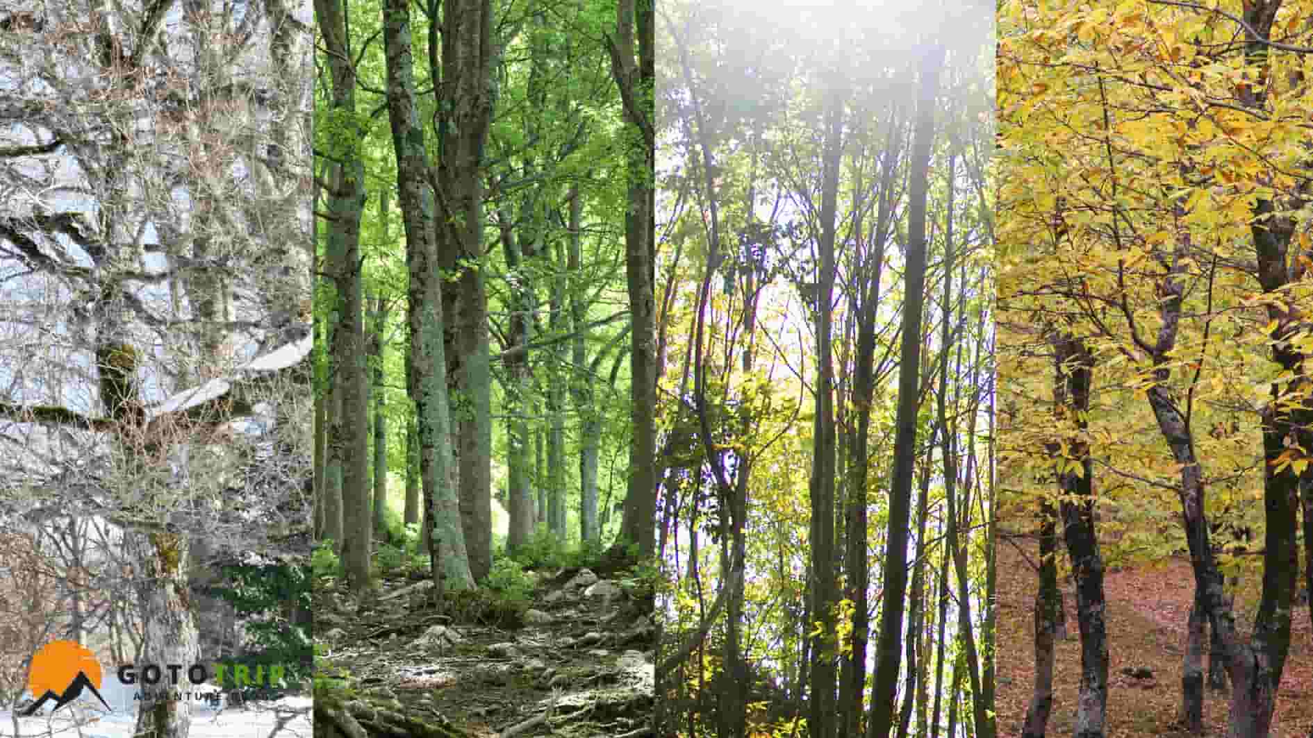 تفاوت سفر در هر فصل سال برای طبیعت گردی و کوهنوردی