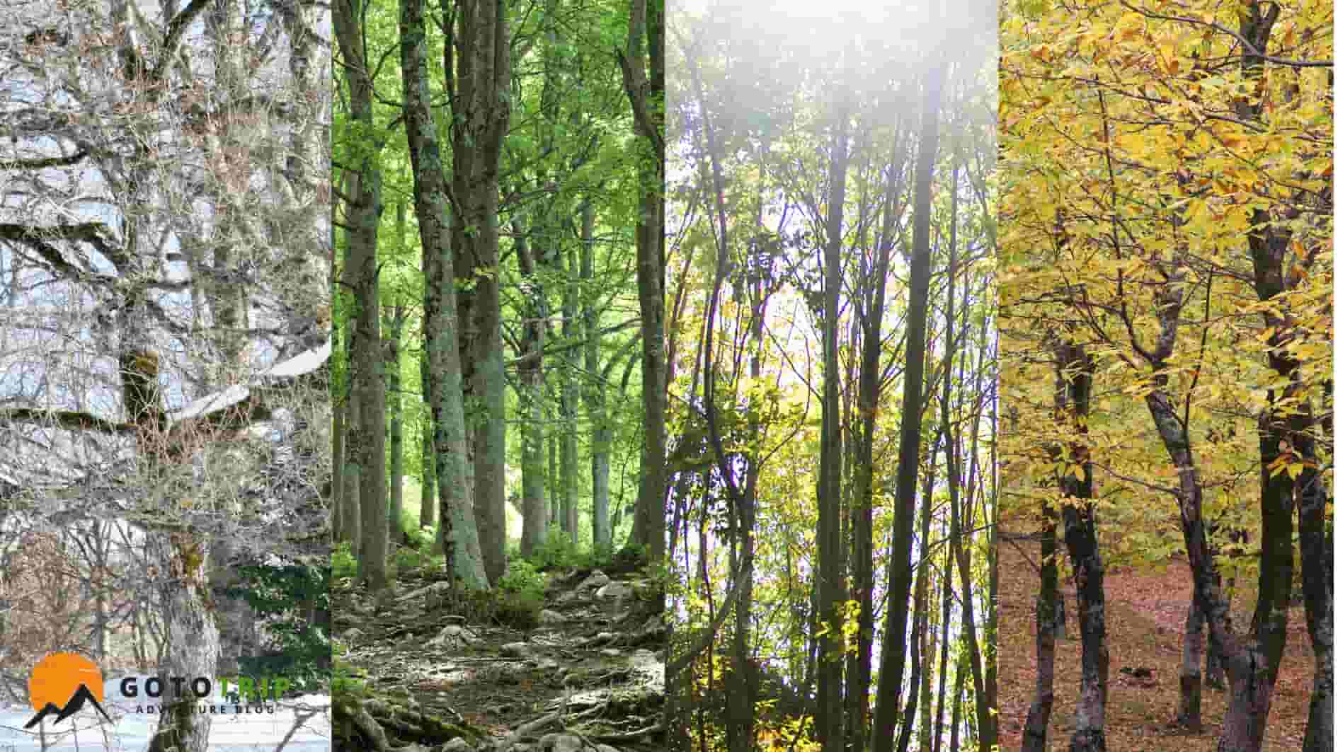 دیدن طبیعت در زیباترین حالت خود