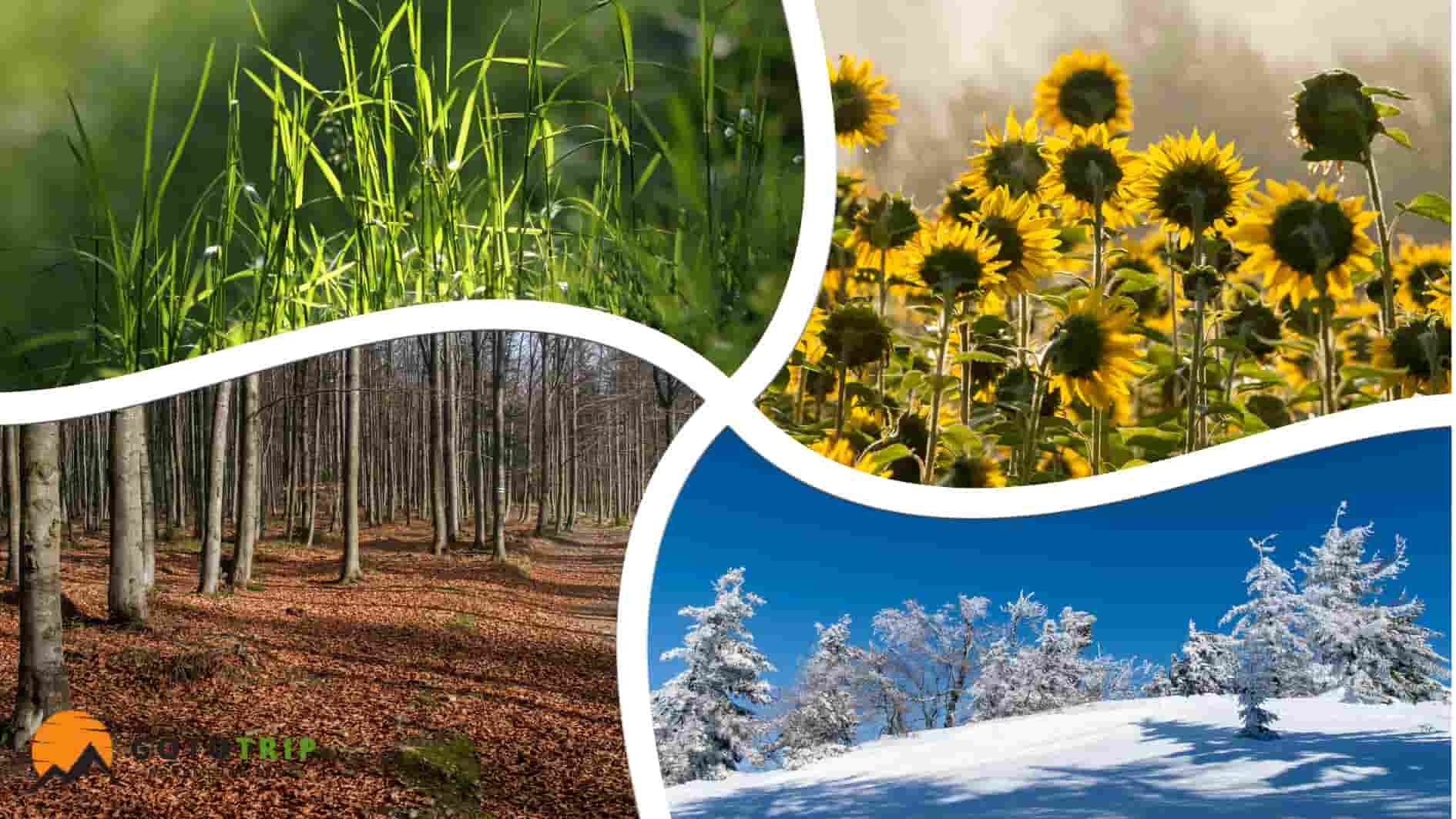 شناخت اقلیم؛ کلید سفرهای حرفهای