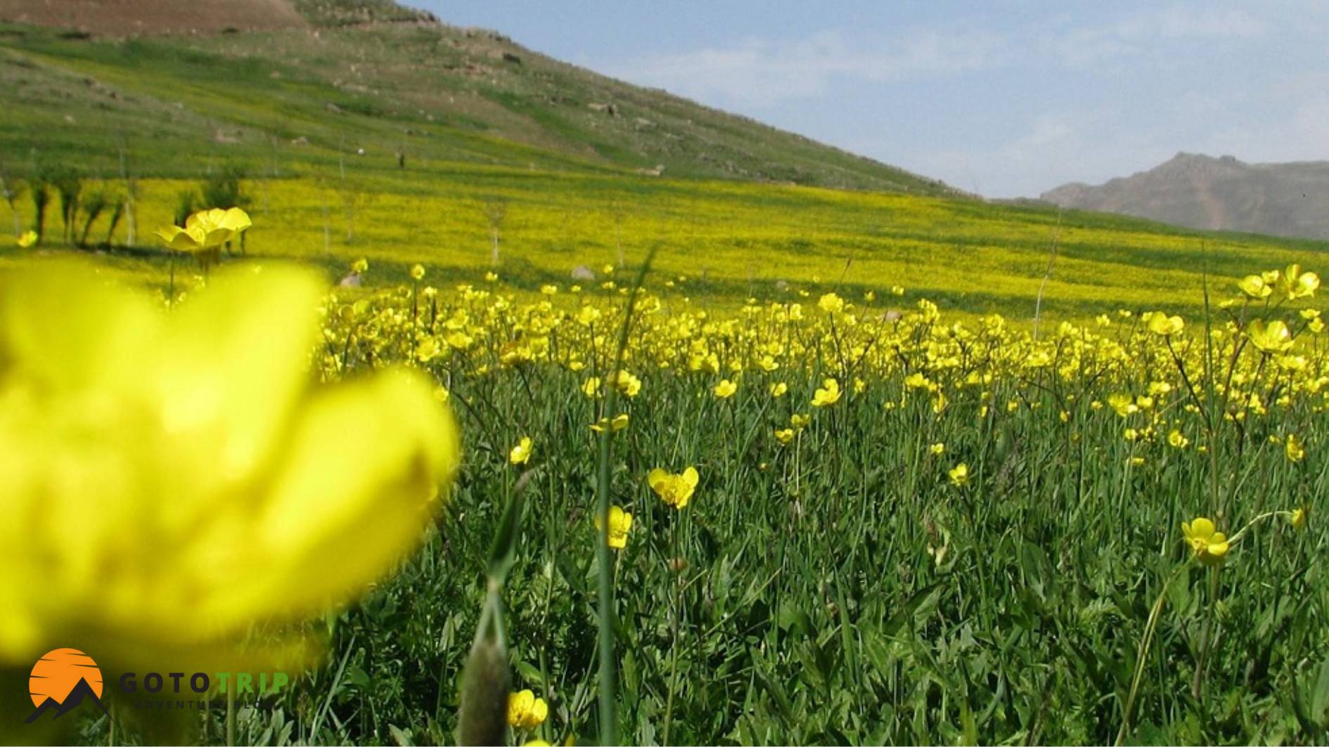 رشته کوه دنا؛ شاهکار طبیعت در قلب زاگرس
