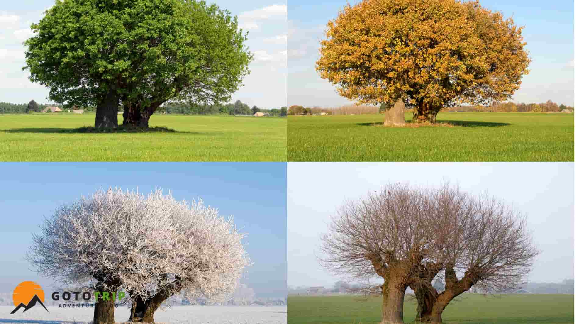 اهمیت درک فصل و اقلیم در سفرهای طبیعتگردی