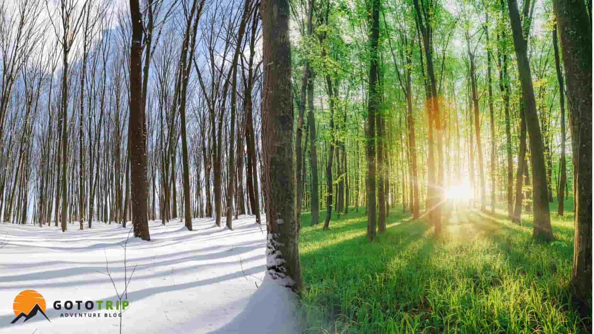 چگونه فصل مناسب هر نوع مقصد را تشخیص دهیم؟