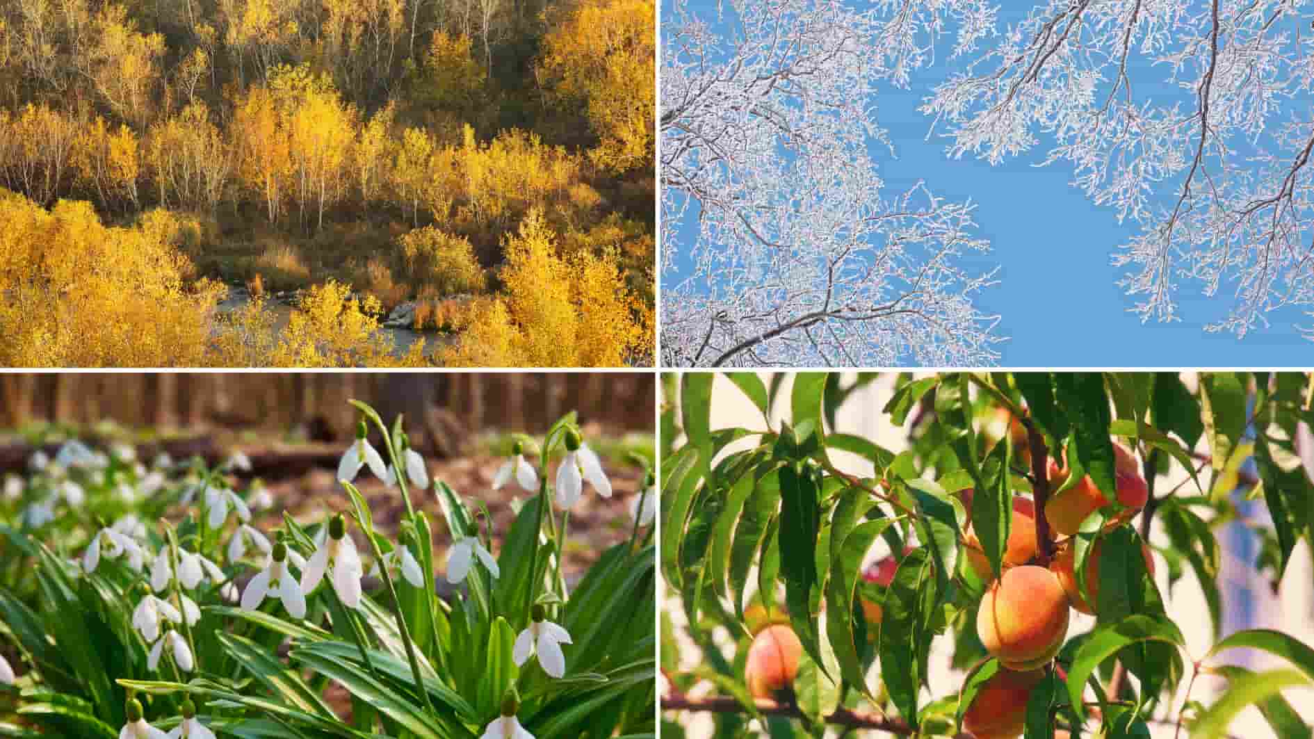 شناخت فصل مناسب، یعنی: