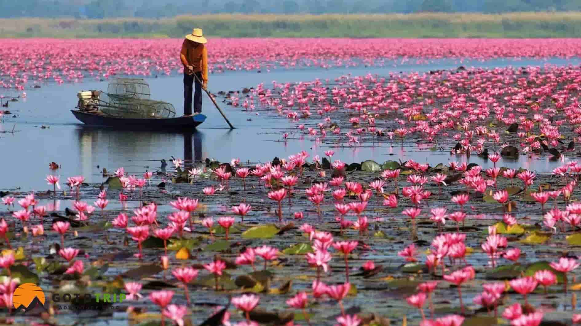 بهترین فصل برای رفتن به تالاب انزلی