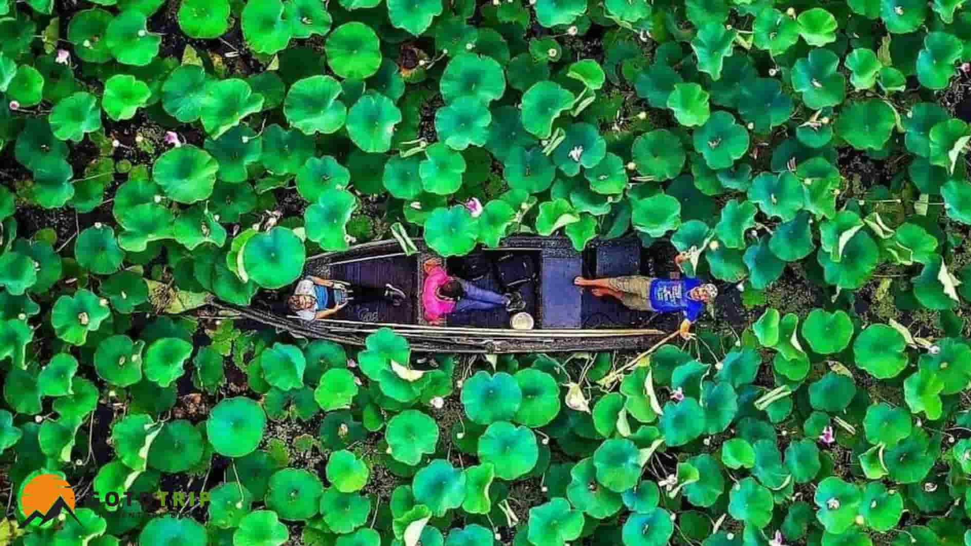 عکس و جاذبه های دیدنی تالاب انزلی