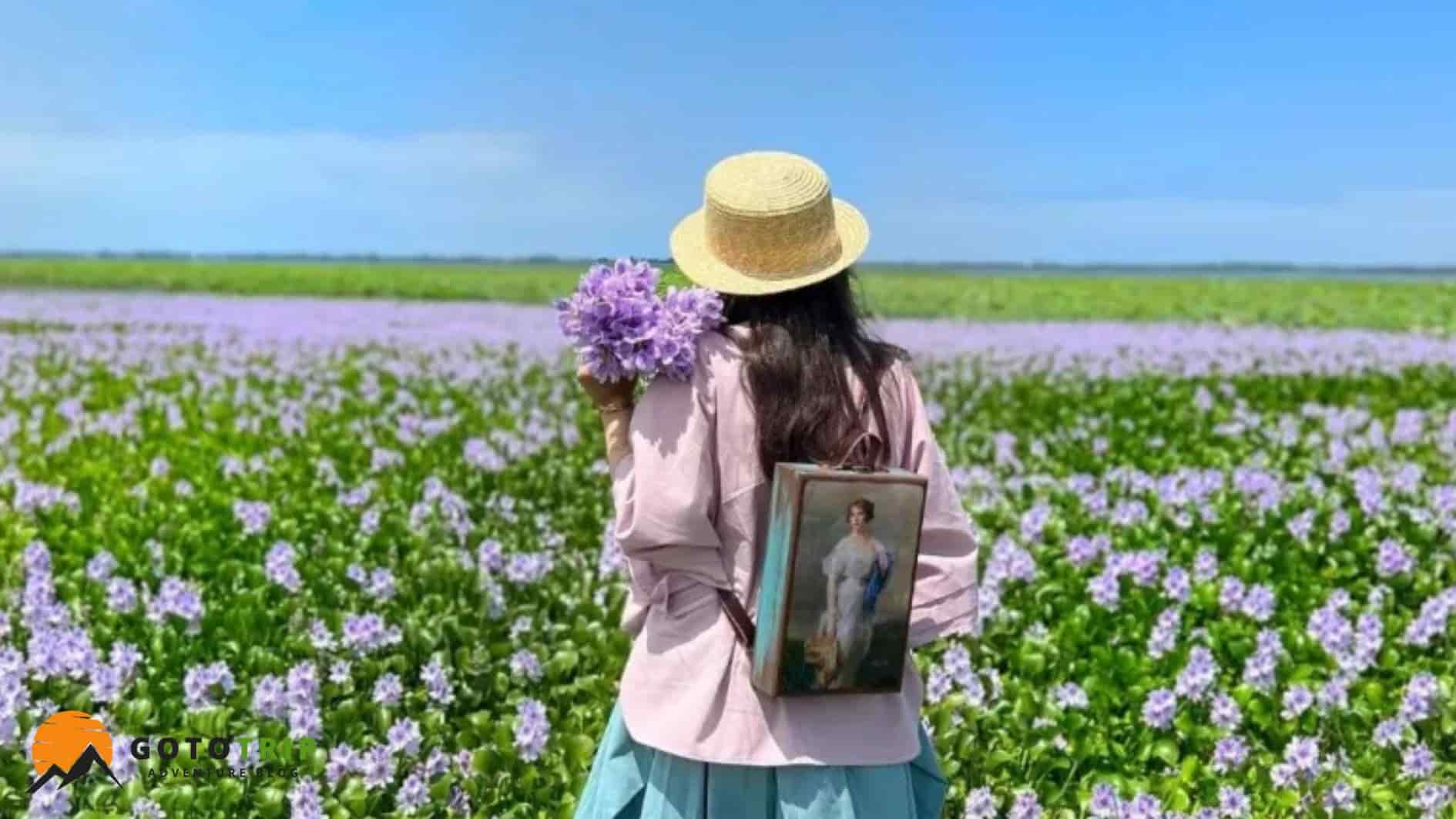 جاذبه‌های دیدنی تالاب انزلی