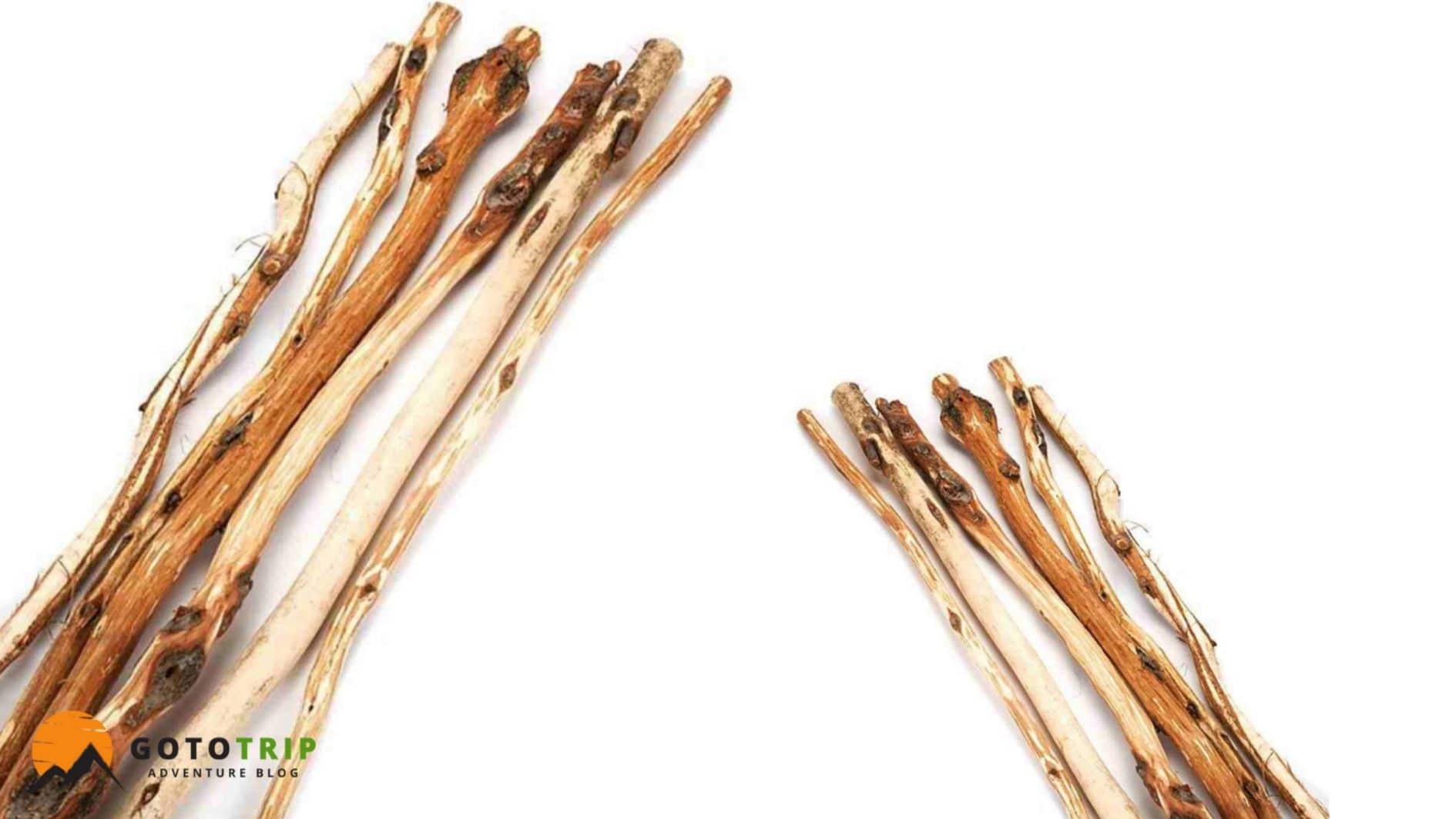 بهترین چوب‌ها برای ساخت عصای کوهنوردی